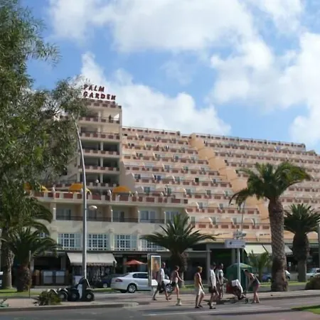Palm Garden 公寓 莫罗德哈布雷