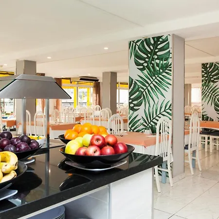 Palm Garden By Livvo Apartament